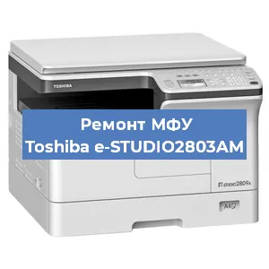 Замена вала на МФУ Toshiba e-STUDIO2803AM в Челябинске